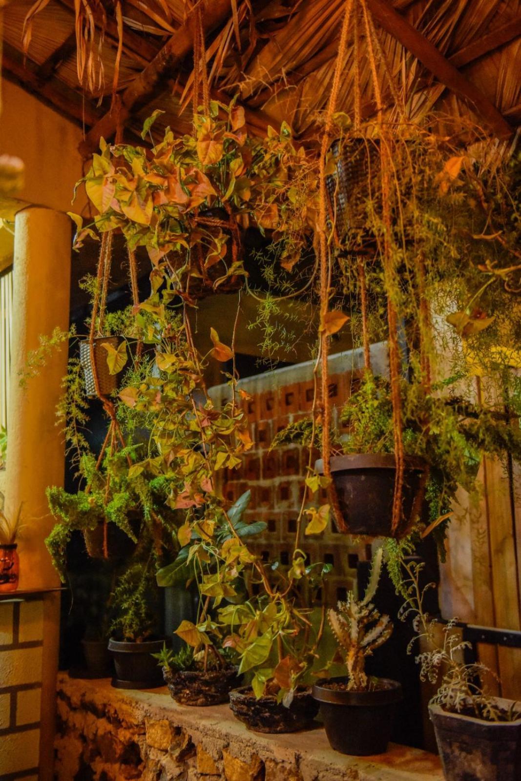 Ella Brown House Hotel Екстериор снимка